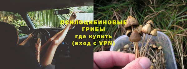 молекула духа Алзамай