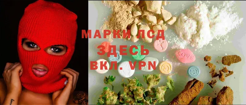 кракен как зайти  Волхов  Лсд 25 экстази ecstasy  где можно купить  