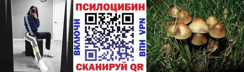блэк спрут ТОР  Волхов  Галлюциногенные грибы MAGIC MUSHROOMS 